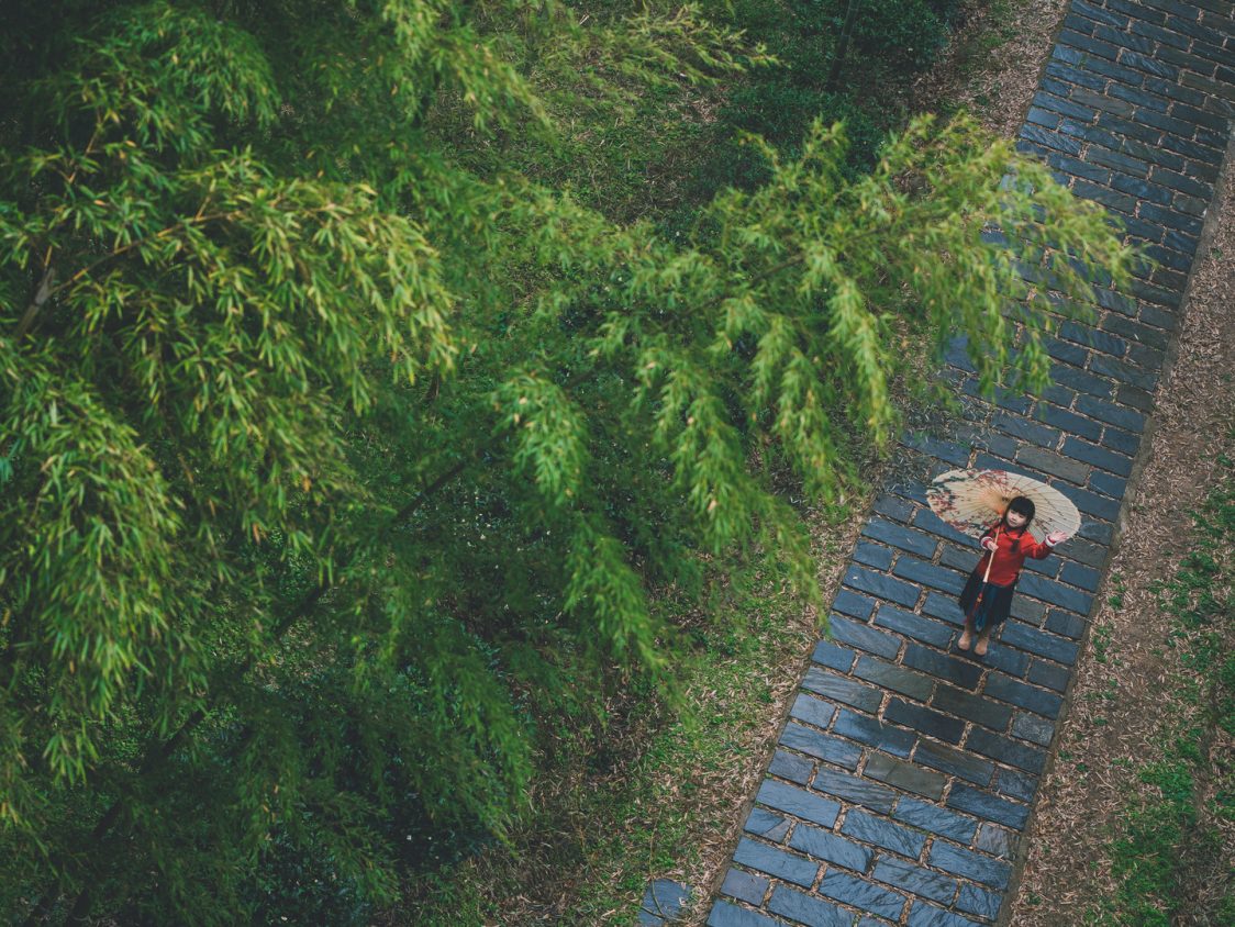 竹子的象征意义是什么