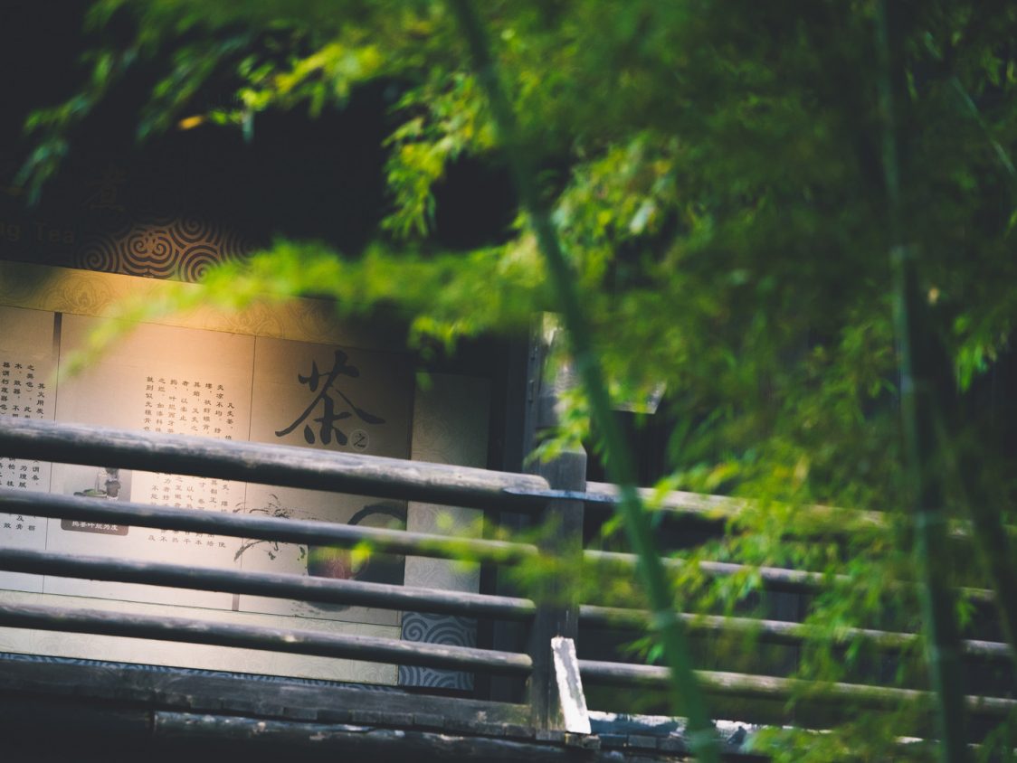 中国关于竹子的历史故事