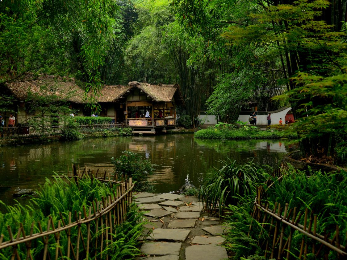 竹子竟然有这么多用途