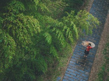 竹子的象征意义是什么