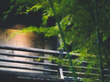 中国关于竹子的历史故事