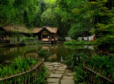 竹子竟然有这么多用途