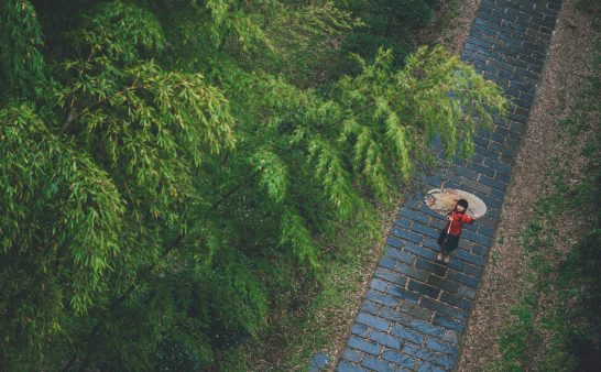 竹子的象征意义是什么