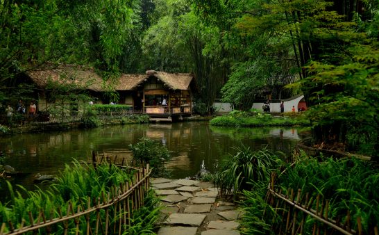 竹子竟然有这么多用途